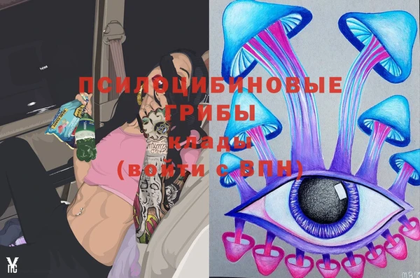 прущие крисы Киренск